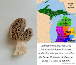 Morel valued at $10,000 because of Resemblance to Michigan